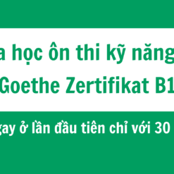 Khóa học ôn thi kỹ năng đọc Goethe Zertifikat B1